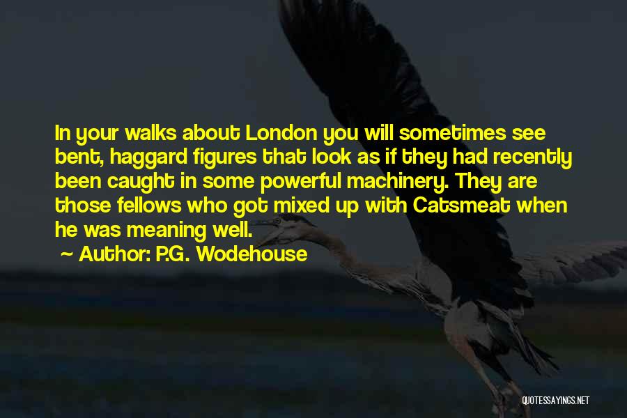 Haggard Look Quotes By P.G. Wodehouse