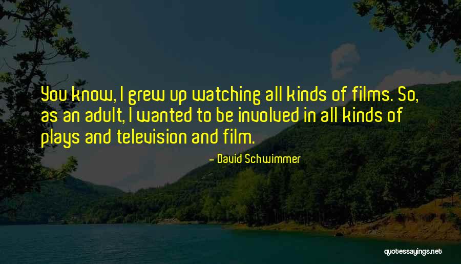 Haggstrom 8d Quotes By David Schwimmer