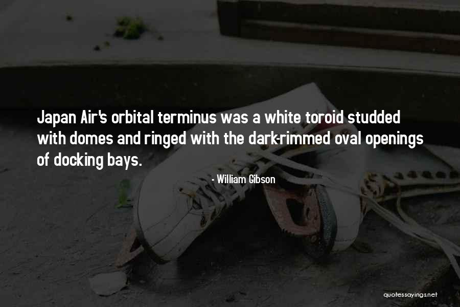 Hagins Ray Quotes By William Gibson Hagins Ray Quotes By William Gibson