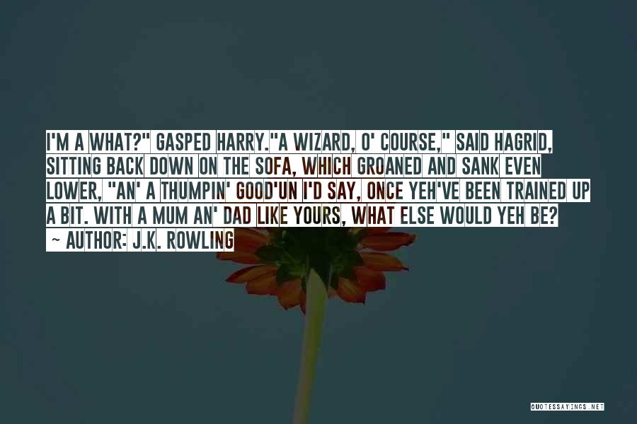 Hagrid Quotes By J.K. Rowling