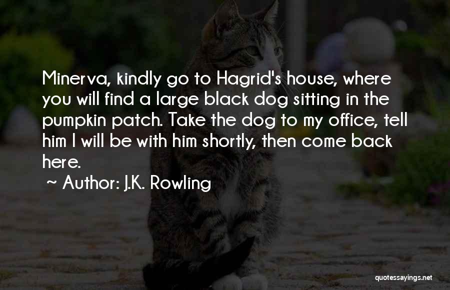 Hagrid Quotes By J.K. Rowling