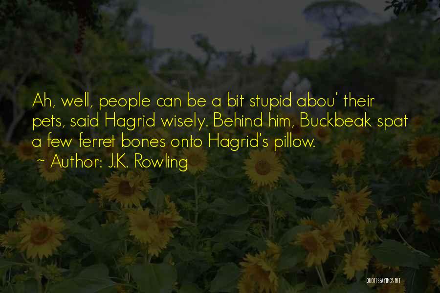 Hagrid Quotes By J.K. Rowling