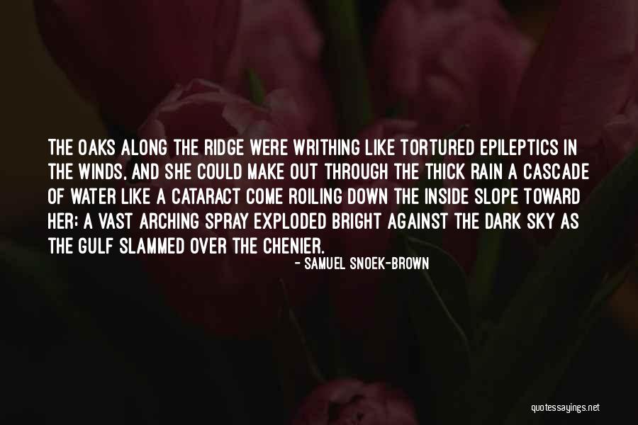Hagridden Quotes By Samuel Snoek-Brown Hagridden Quotes By Samuel Snoek-Brown