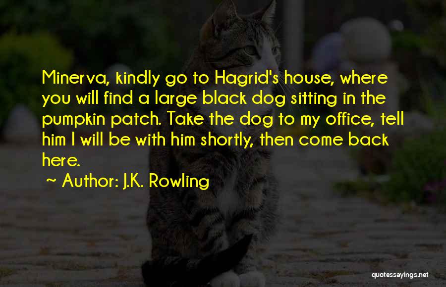 Hagrid's Quotes By J.K. Rowling