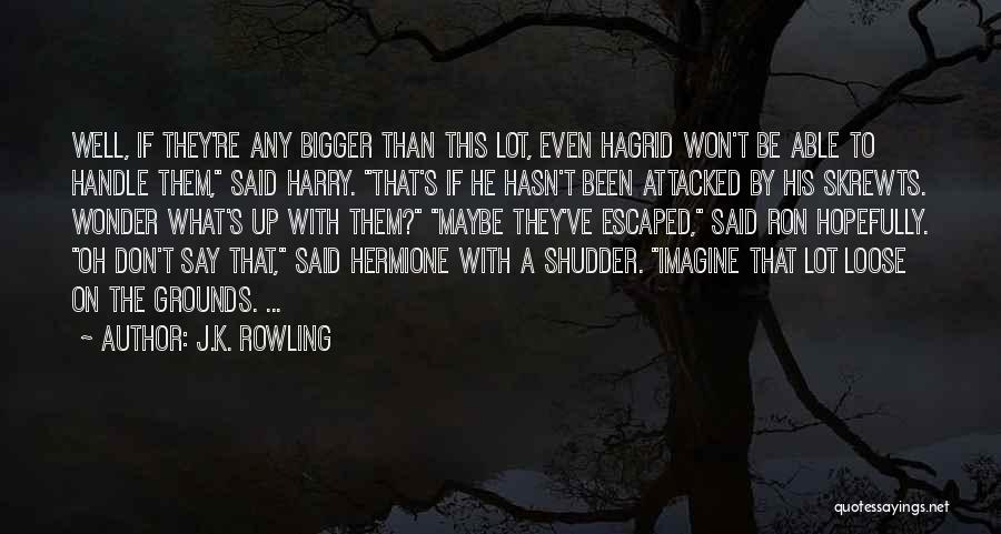 Hagrid's Quotes By J.K. Rowling