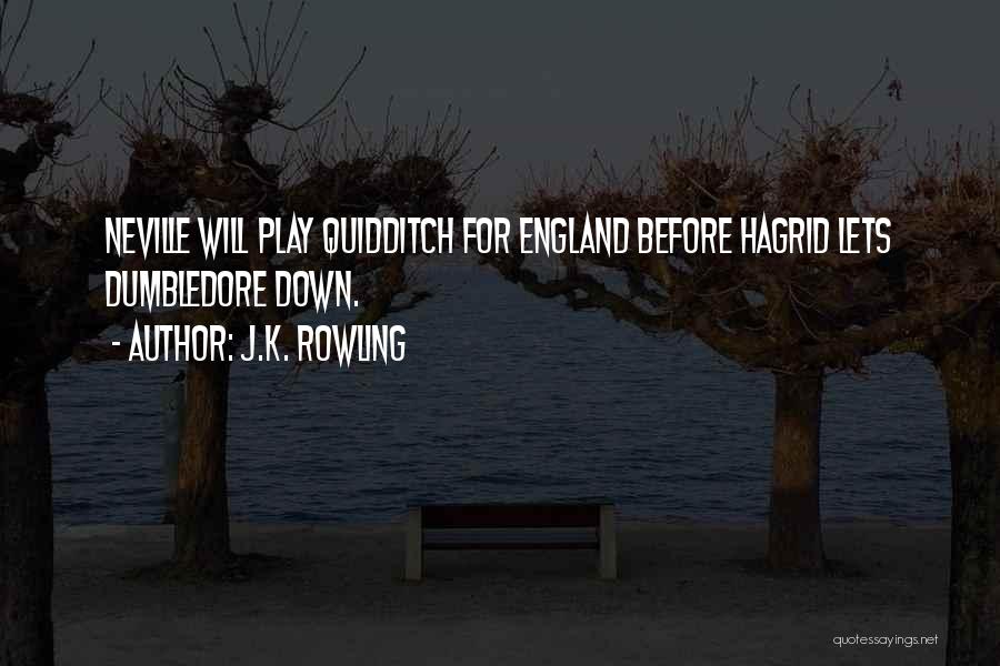 Hagrid's Quotes By J.K. Rowling