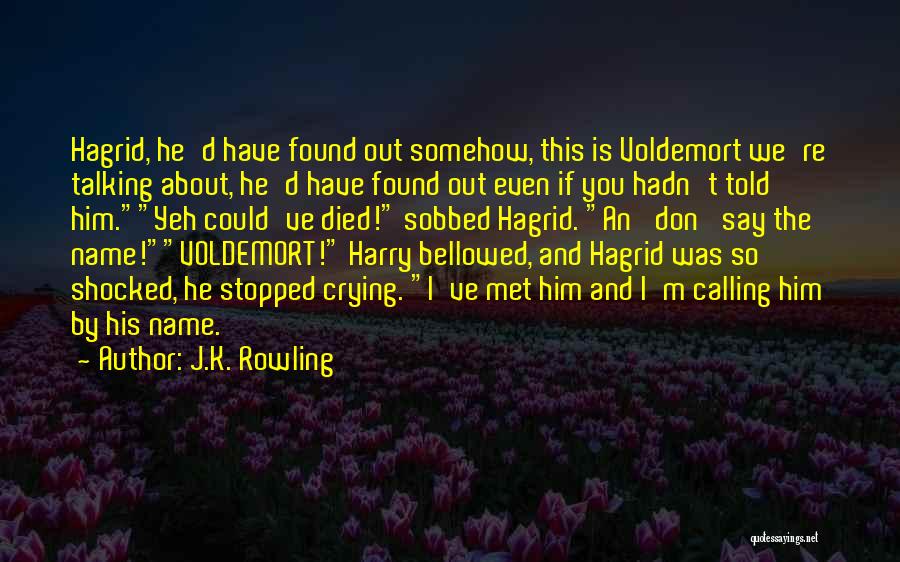 Hagrid's Quotes By J.K. Rowling