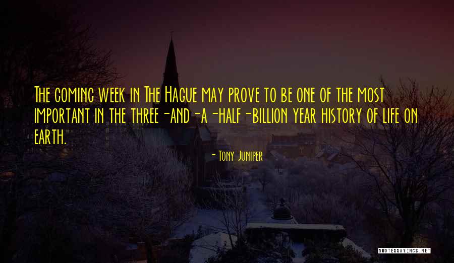 Hague Quotes By Tony Juniper Hague Quotes By Tony Juniper