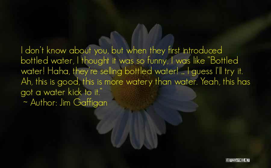 Haha So Funny Quotes By Jim Gaffigan