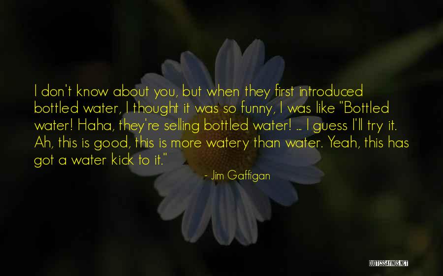 Haha So Funny Quotes By Jim Gaffigan