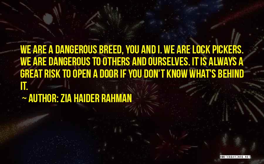 Haider Best Quotes By Zia Haider Rahman