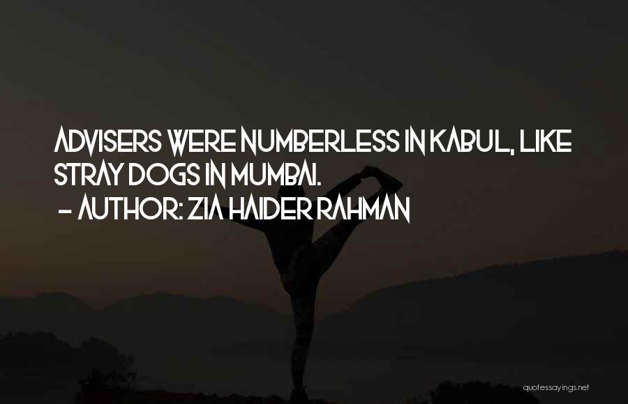 Haider Best Quotes By Zia Haider Rahman