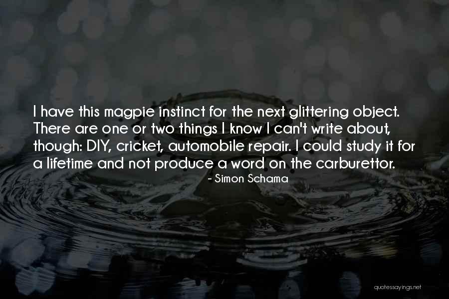 Haider Glass Quotes By Simon Schama Haider Glass Quotes By Simon Schama