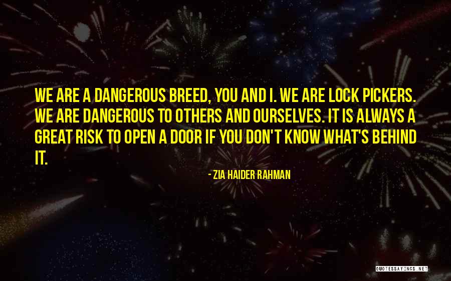 Haider Quotes By Zia Haider Rahman