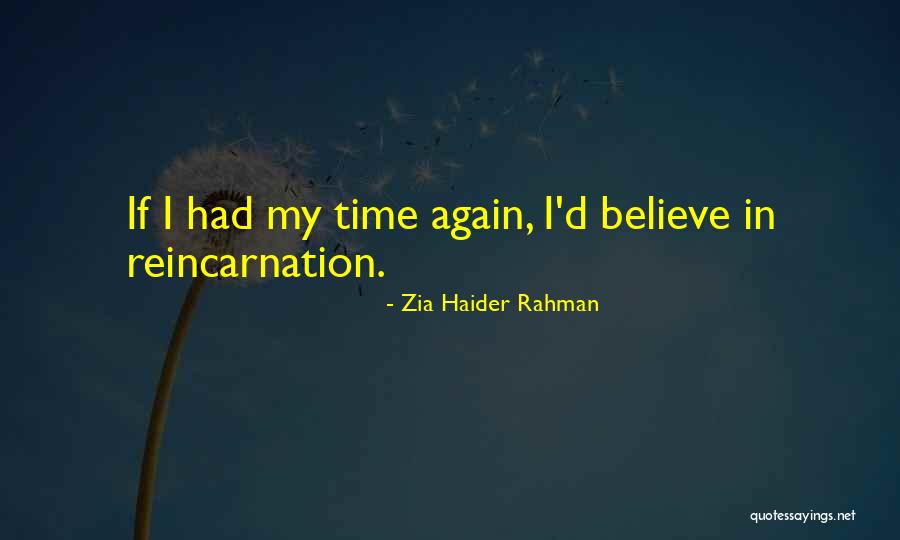 Haider Quotes By Zia Haider Rahman