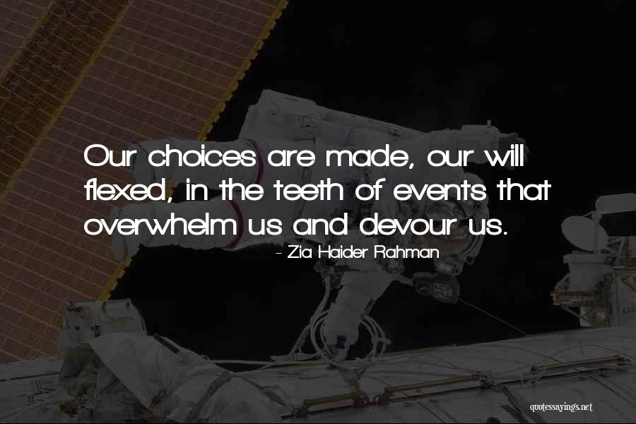 Haider Quotes By Zia Haider Rahman