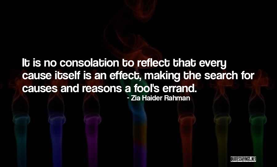 Haider Quotes By Zia Haider Rahman