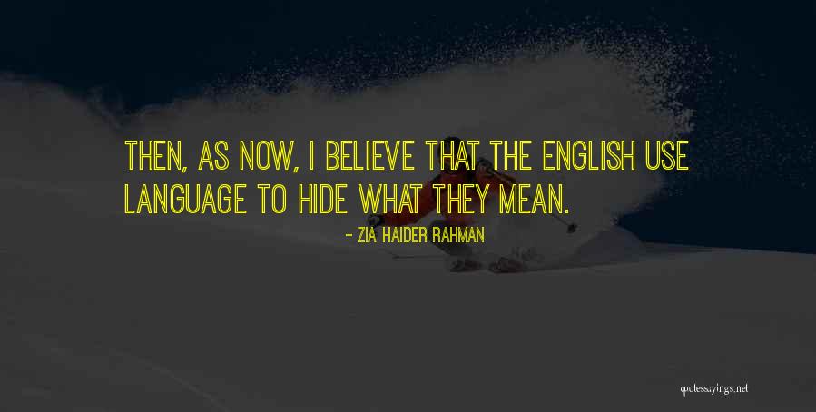 Haider Quotes By Zia Haider Rahman