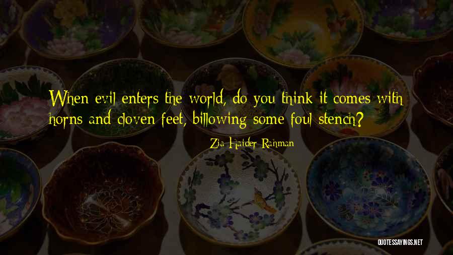 Haider Quotes By Zia Haider Rahman