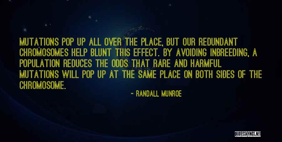Haiderer Homes Quotes By Randall Munroe Haiderer Homes Quotes By Randall Munroe