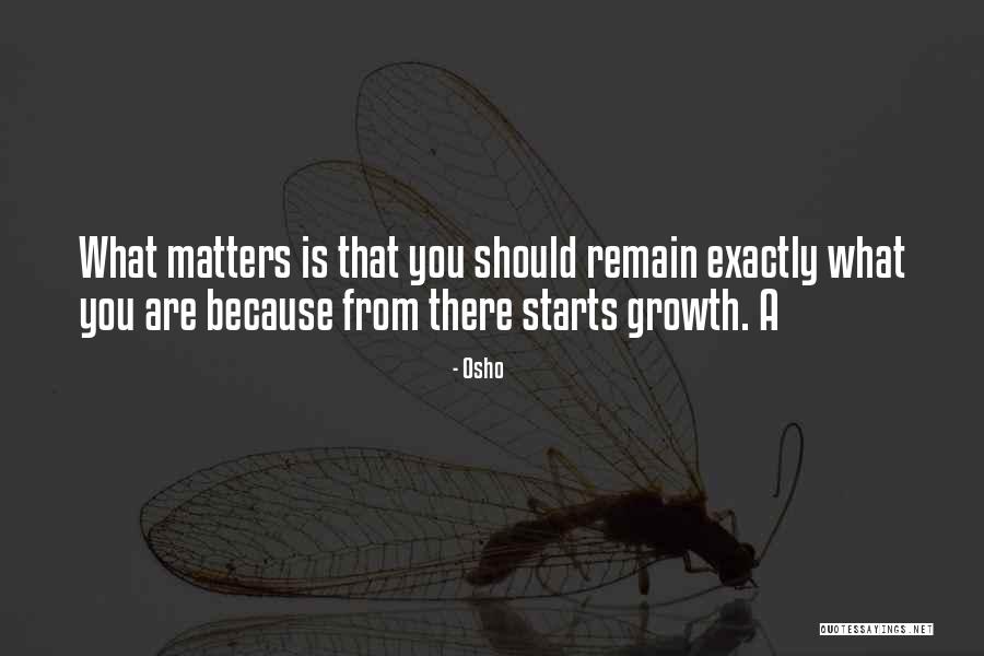 Haidet Glass Quotes By Osho Haidet Glass Quotes By Osho