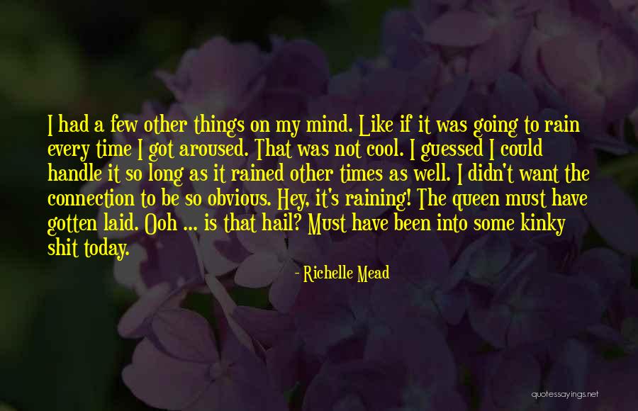 Hail The Queen Quotes By Richelle Mead Hail The Queen Quotes By Richelle Mead