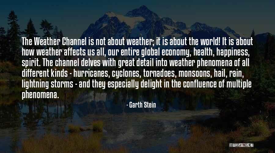 Hail Weather Quotes By Garth Stein