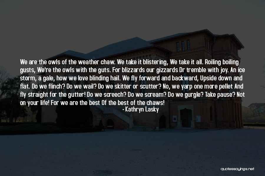 Hail Weather Quotes By Kathryn Lasky