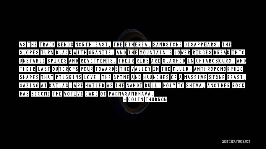 Hailed Quotes By Colin Thubron Hailed Quotes By Colin Thubron