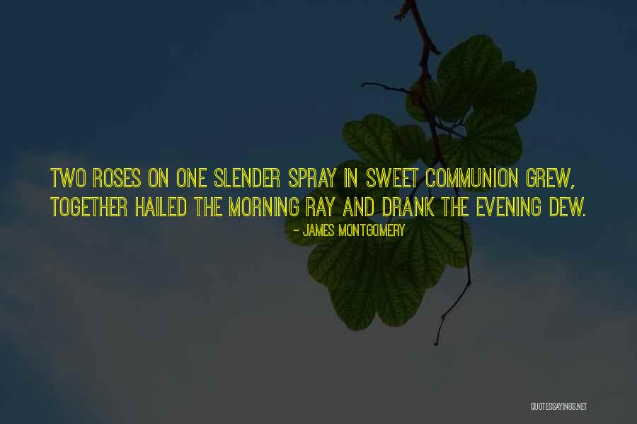 Hailed Quotes By James Montgomery Hailed Quotes By James Montgomery