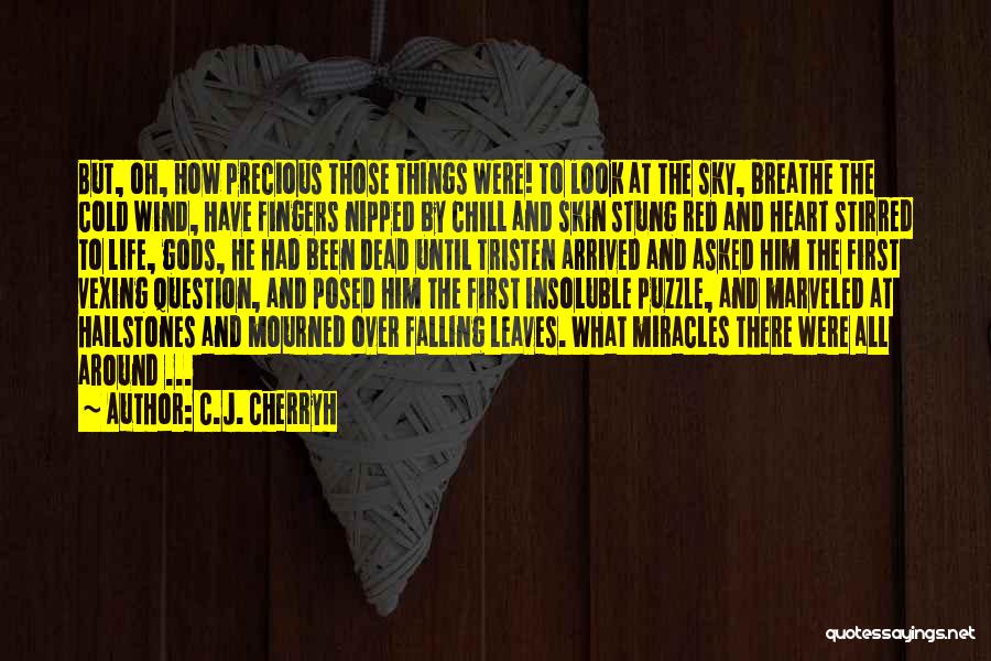 Hailstones Quotes By C.J. Cherryh
