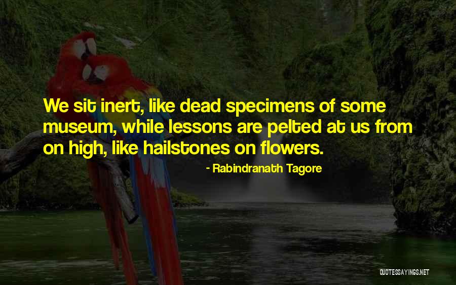 Hailstones Quotes By Rabindranath Tagore