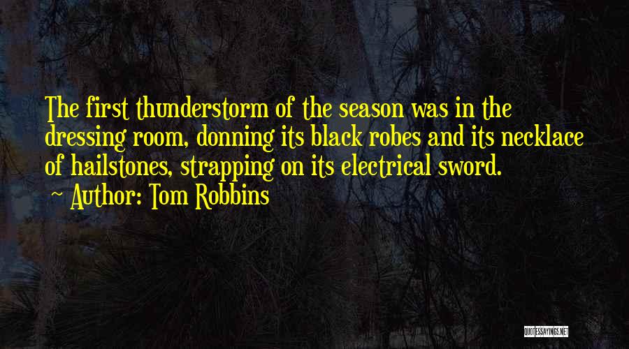Hailstones Quotes By Tom Robbins