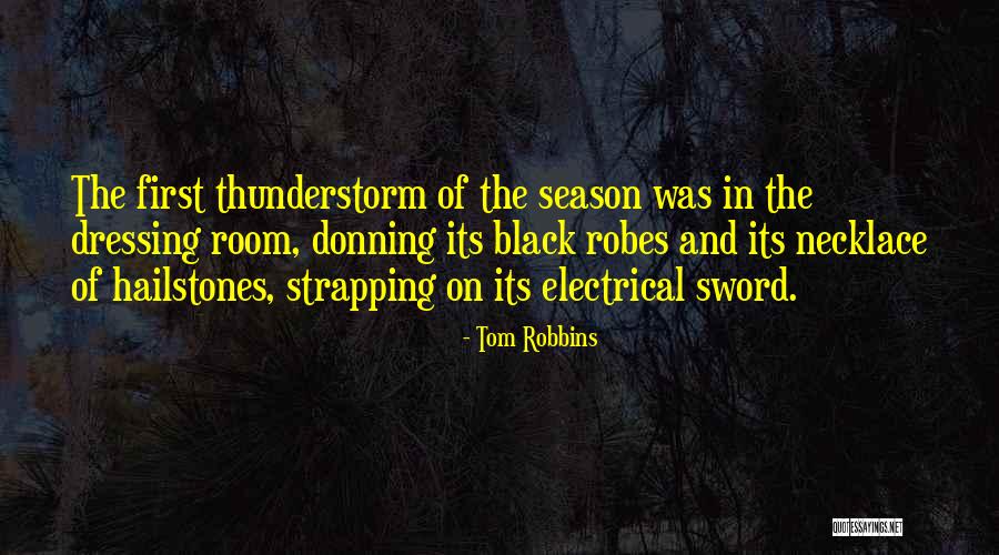 Hailstones Quotes By Tom Robbins