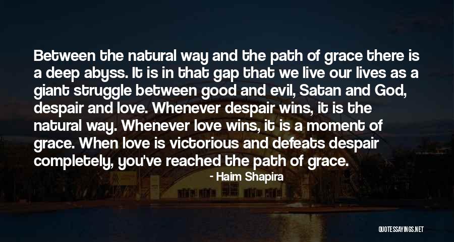 Haim Shapira Quotes 165029