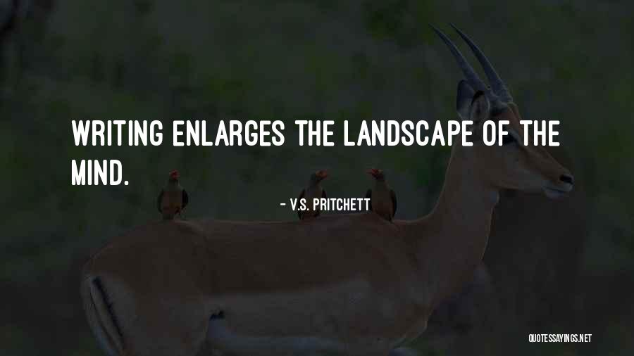 Haimovici Subiecte Quotes By V.S. Pritchett