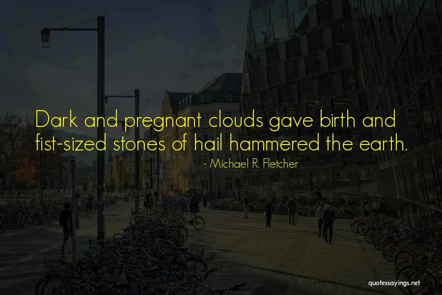 Hainish Series Quotes By Michael R. Fletcher Hainish Series Quotes By Michael R. Fletcher