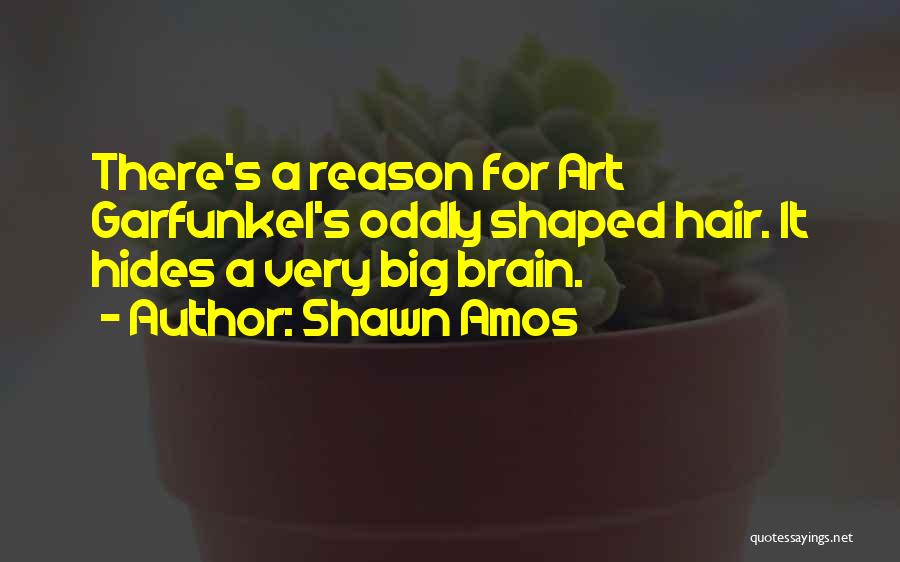 Hair Art Quotes By Shawn Amos