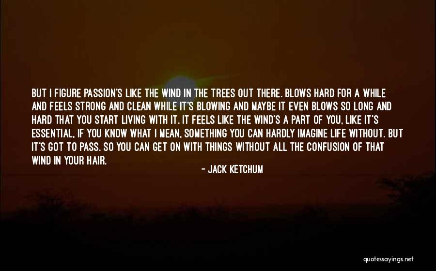 Hair Blowing In Wind Quotes By Jack Ketchum