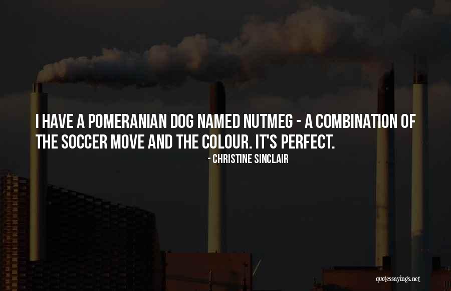Hair Layers Quotes By Christine Sinclair Hair Layers Quotes By Christine Sinclair
