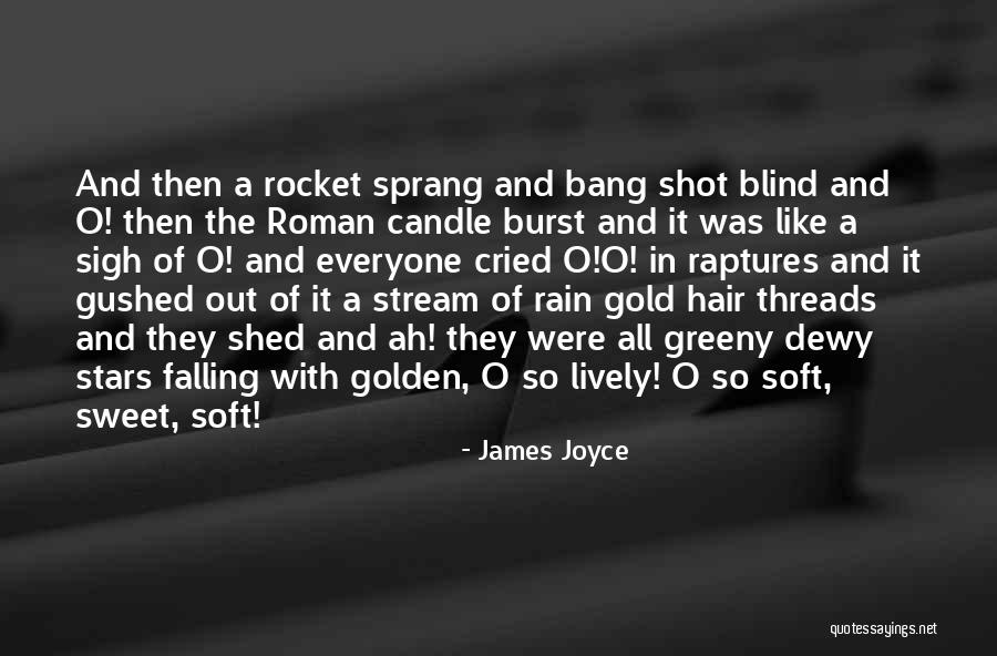 Hair So Soft Quotes By James Joyce Hair So Soft Quotes By James Joyce
