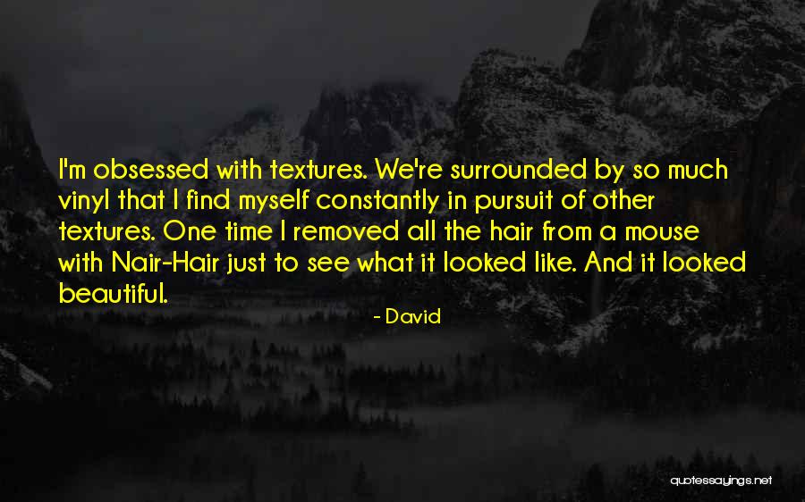 Hair Texture Quotes By David Hair Texture Quotes By David