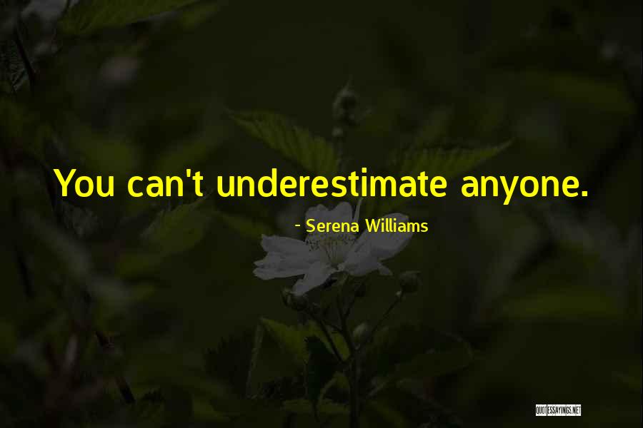 Hairnet Across Vision Quotes By Serena Williams Hairnet Across Vision Quotes By Serena Williams