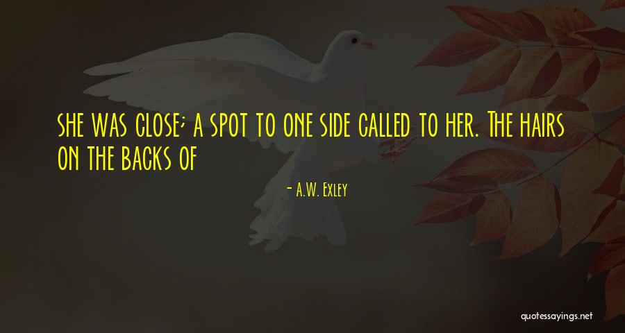 Hairs Quotes By A.W. Exley Hairs Quotes By A.W. Exley