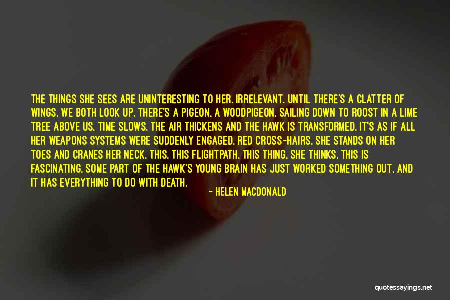 Hairs Quotes By Helen Macdonald Hairs Quotes By Helen Macdonald