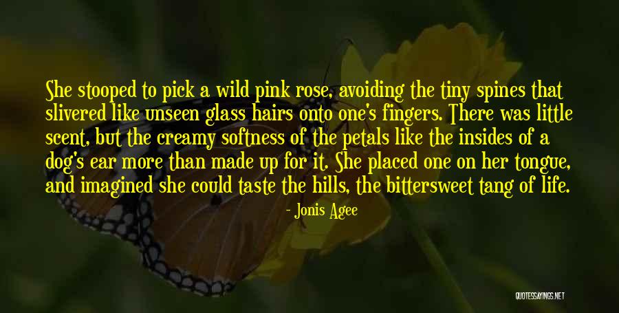 Hairs Quotes By Jonis Agee Hairs Quotes By Jonis Agee