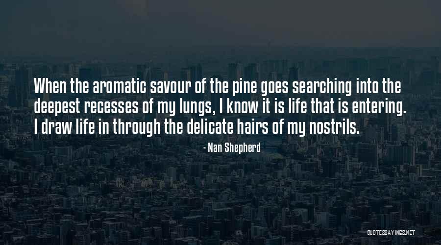 Hairs Quotes By Nan Shepherd