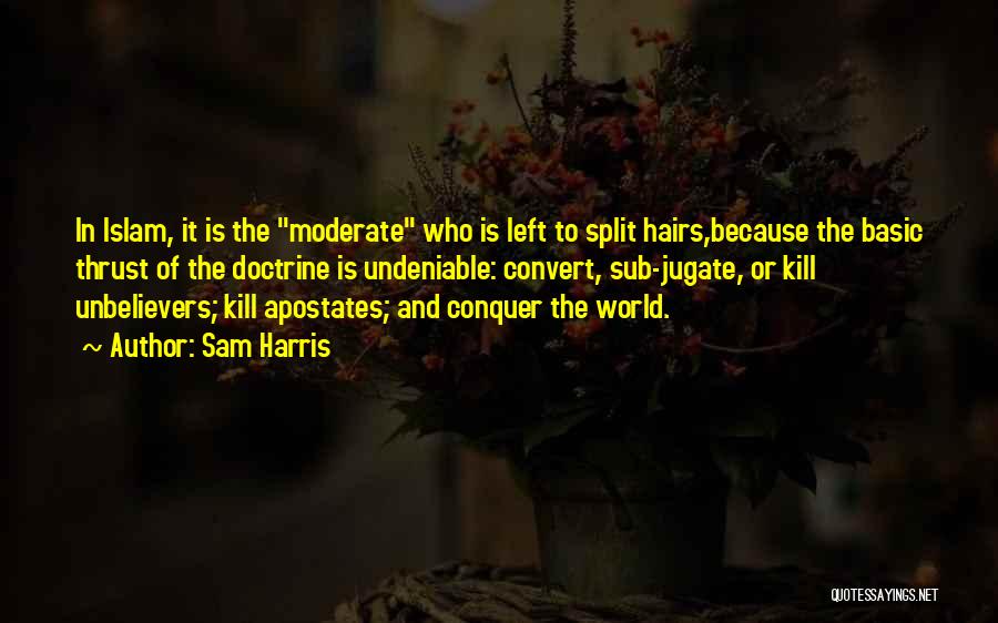 Hairs Quotes By Sam Harris