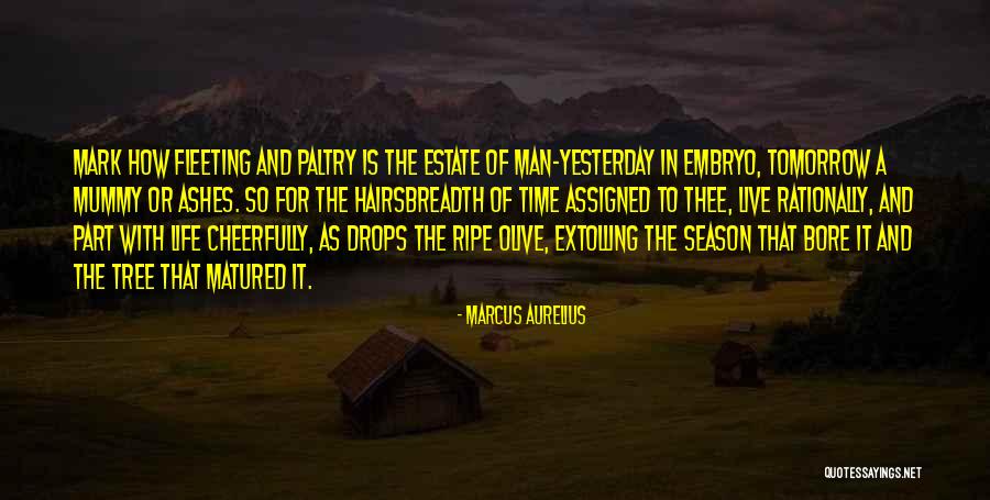 Hairsbreadth Quotes By Marcus Aurelius Hairsbreadth Quotes By Marcus Aurelius