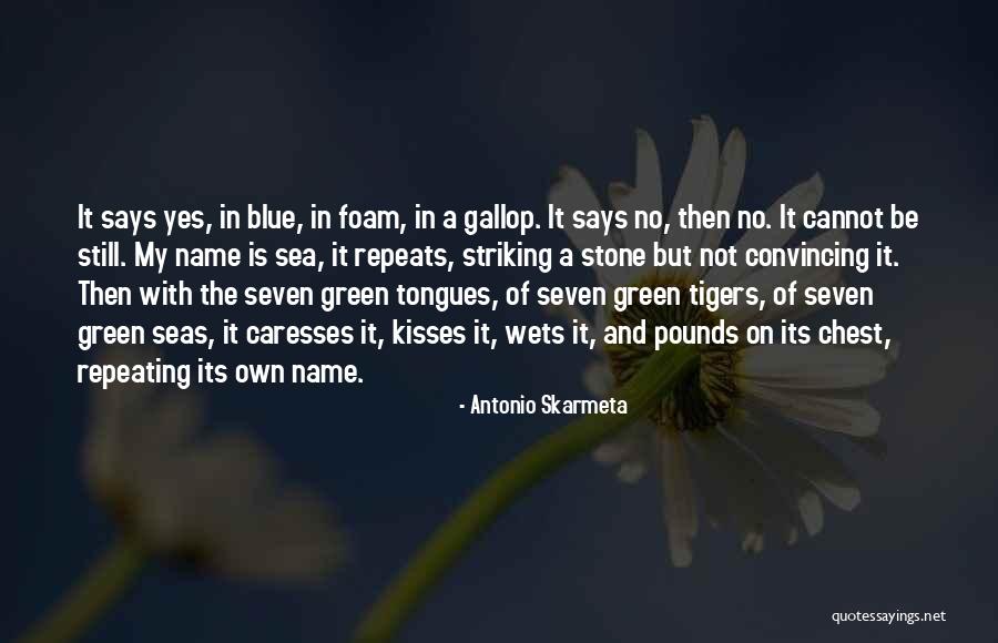 Haitianos Fotos Quotes By Antonio Skarmeta Haitianos Fotos Quotes By Antonio Skarmeta